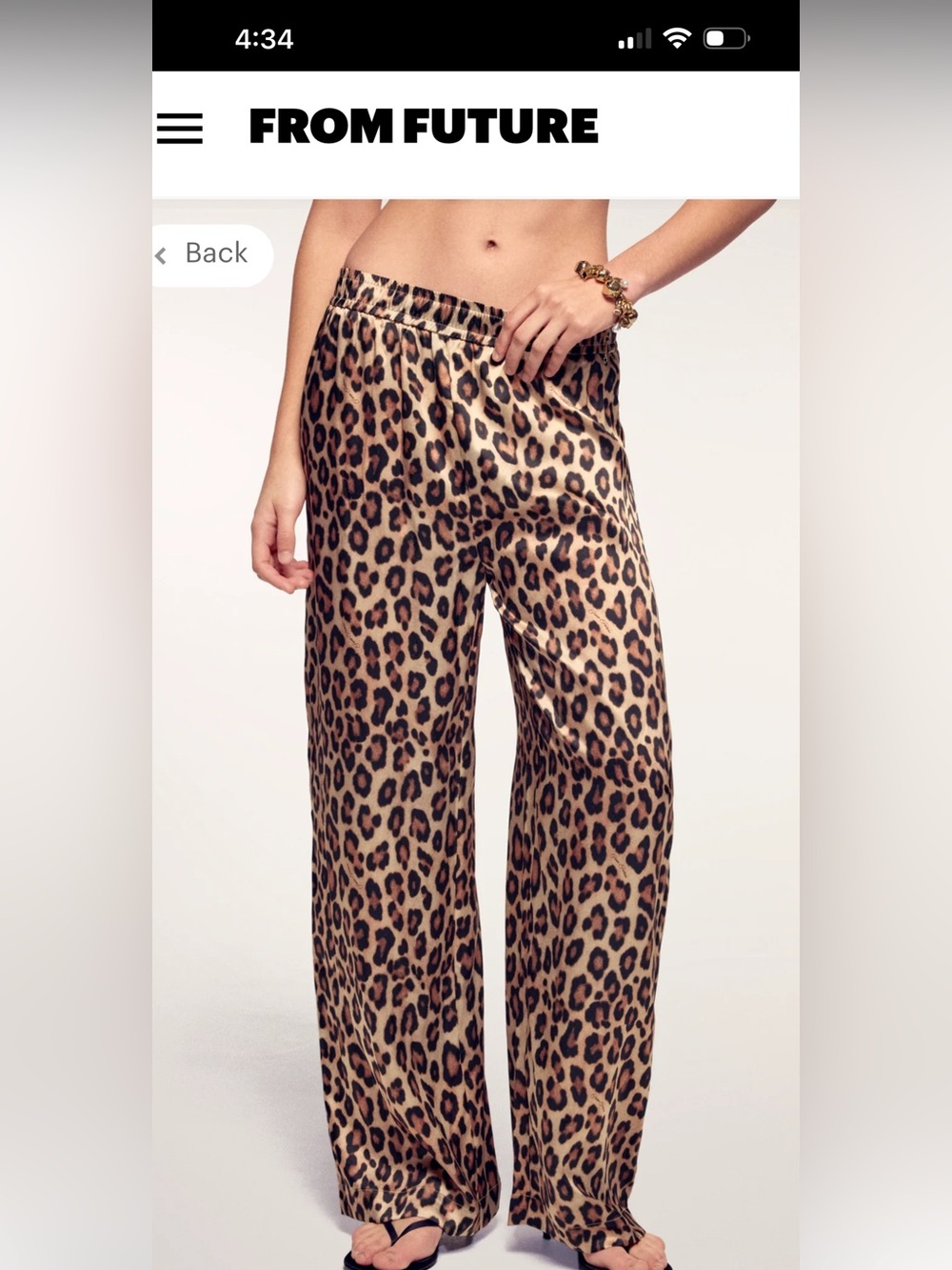 From Future 100% Silk Régine Wide Leg Pants (Size 38)